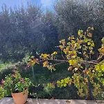 Prázdninový dům Casa Primavera Assisi