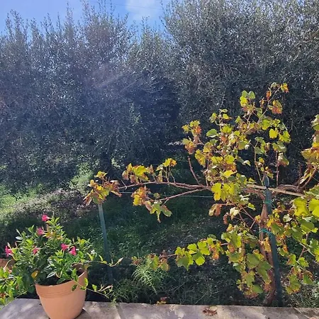 Casa de Férias Casa Primavera Tordandrea