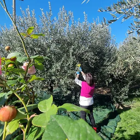 펜션 Casa Primavera *