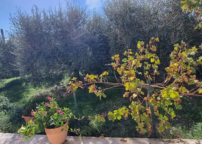 Prázdninový dům Casa Primavera Assisi