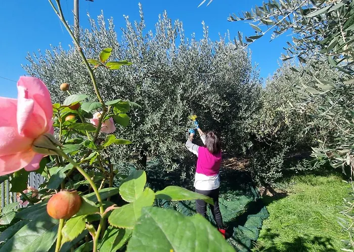 Prázdninový dům Casa Primavera *